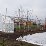 STOREX greenhouse frame 01